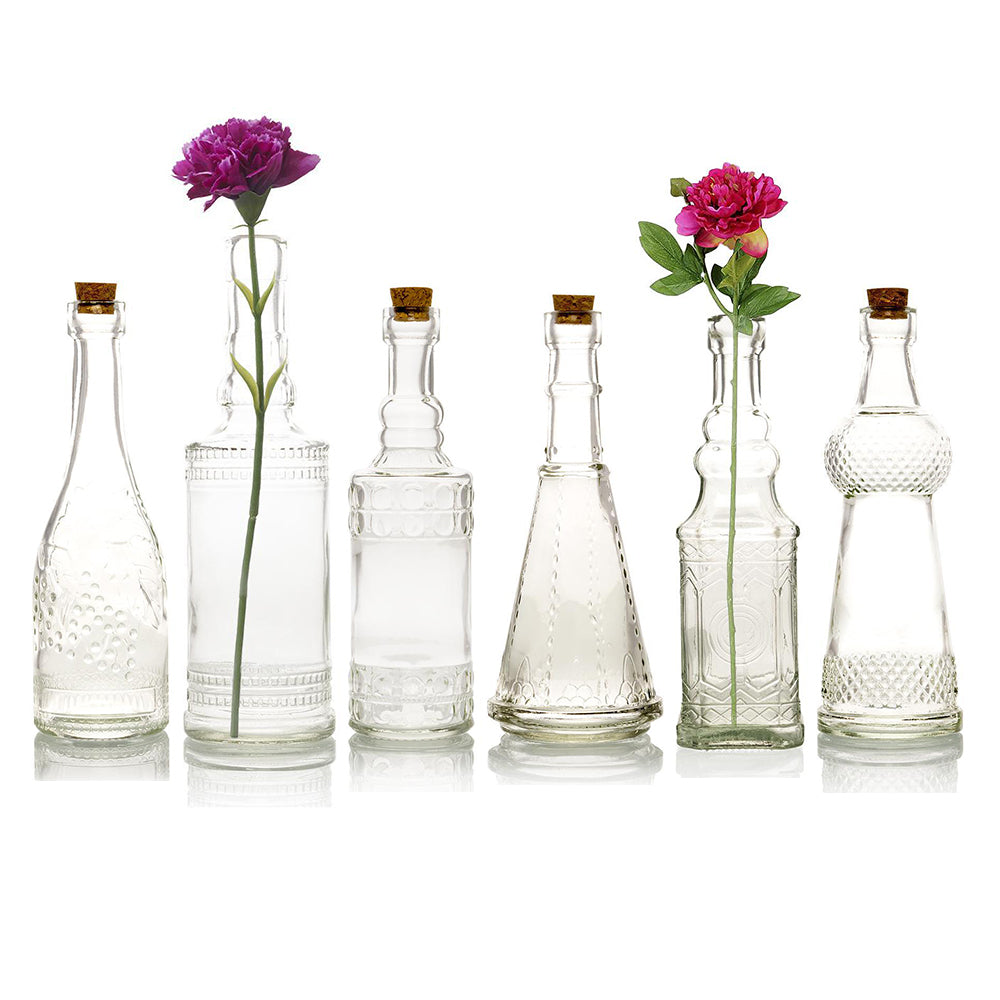 Best of Show Clear Vintage Glass Bottles Set - (6 Pack, Assorted Designs)